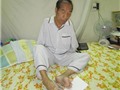 Thầy giáo Nguyễn Ngọc Ký: Nửa thế kỷ "Em Ký đi học"